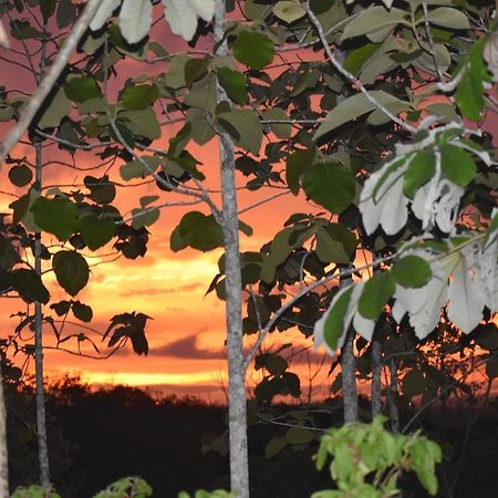 Hidden Haven Pansiyon Unitedville Dış mekan fotoğraf
