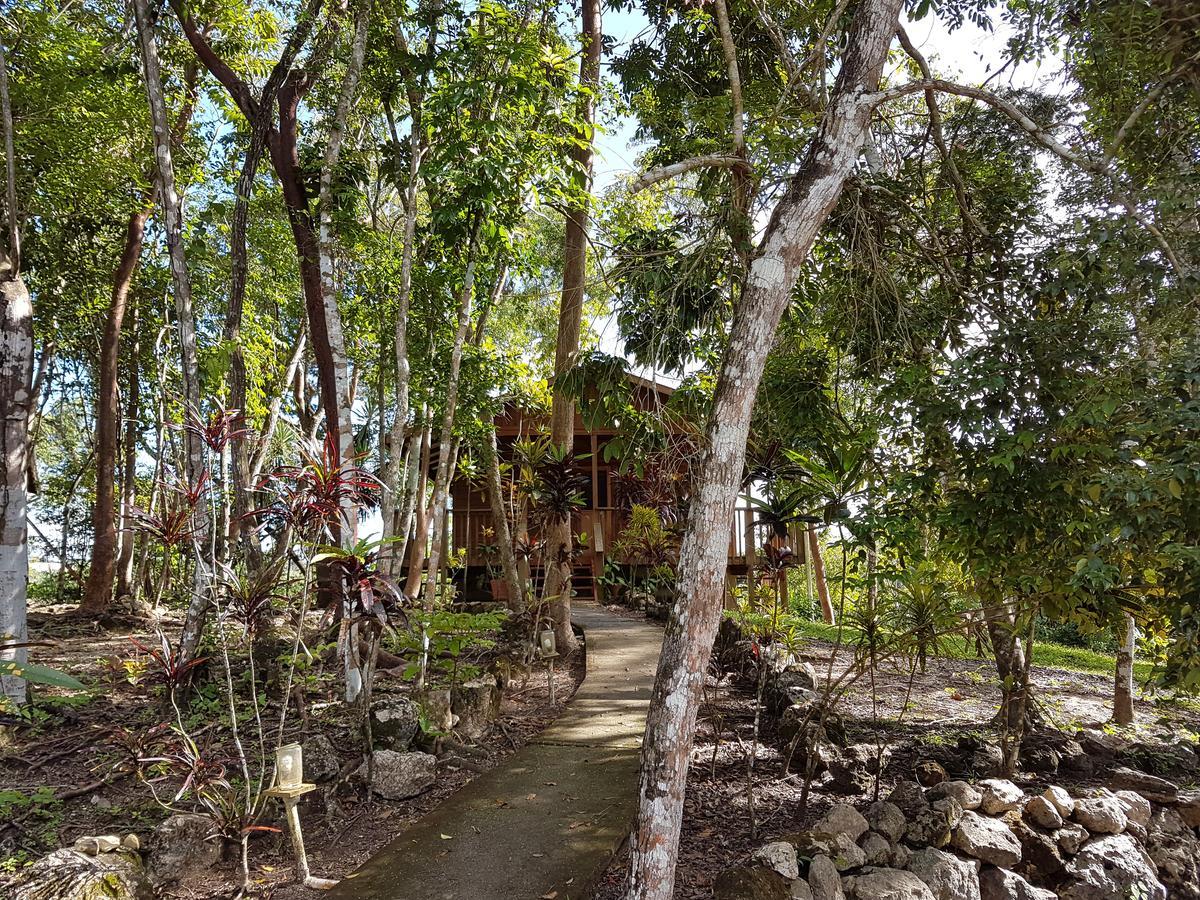 Hidden Haven Pansiyon Unitedville Dış mekan fotoğraf