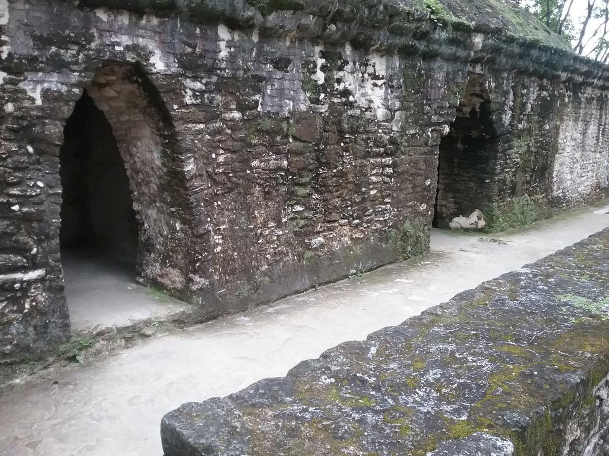 Hidden Haven Pansiyon Unitedville Dış mekan fotoğraf