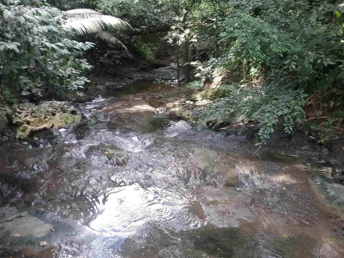 Hidden Haven Pansiyon Unitedville Dış mekan fotoğraf
