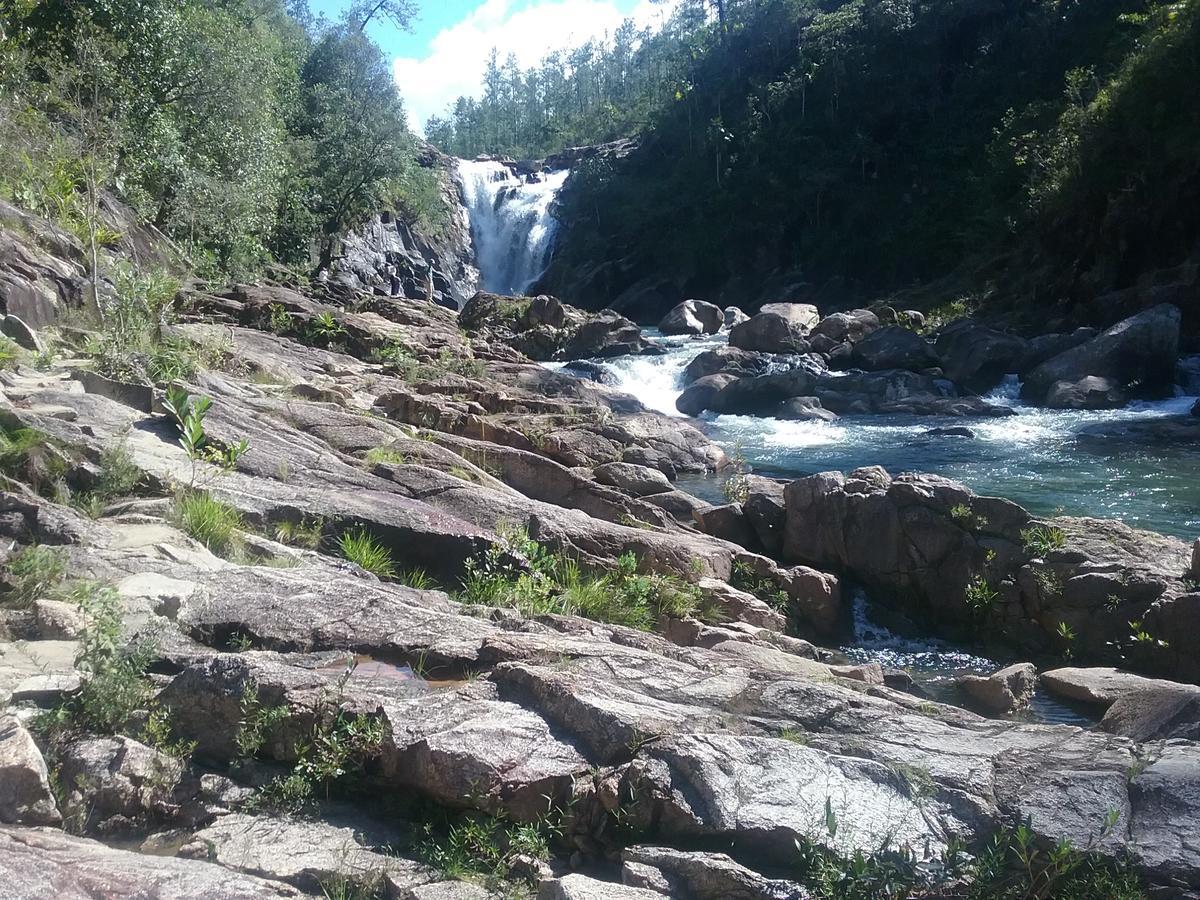 Hidden Haven Pansiyon Unitedville Dış mekan fotoğraf