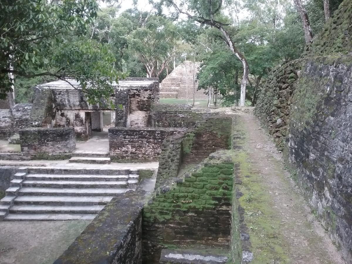 Hidden Haven Pansiyon Unitedville Dış mekan fotoğraf