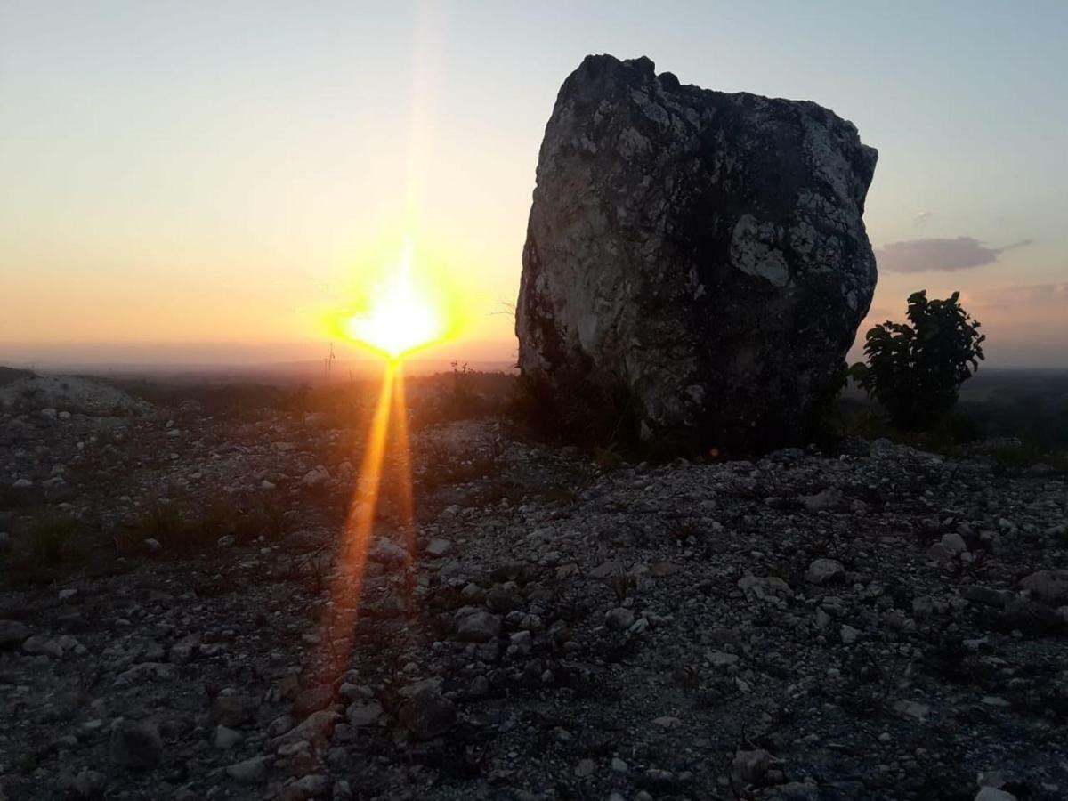 Hidden Haven Pansiyon Unitedville Dış mekan fotoğraf